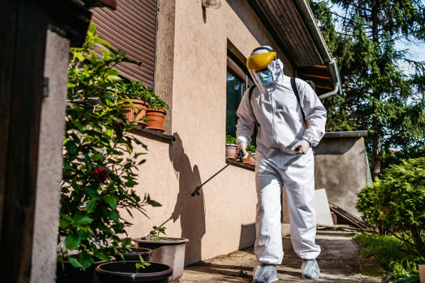Professional Pest Control in Marion, AL