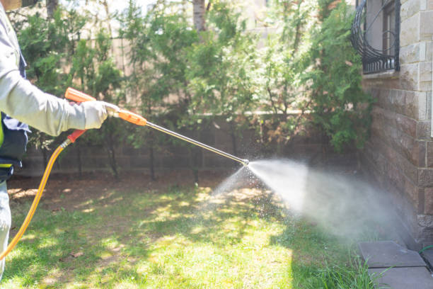 Best Emergency Pest Control  in Marion, AL