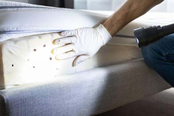 Best Pest Inspection Near Me  in Marion, AL