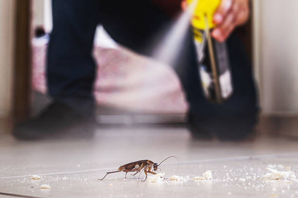 Best Wasp Removal Services  in Marion, AL