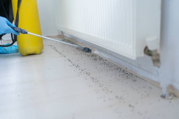 Best Pest Prevention Services  in Marion, AL